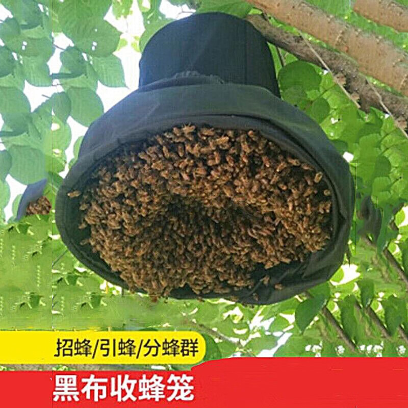 蜜蜂收蜂笼野外诱蜂收蜂工具收蜂袋招蜂笼捕蜂蜂具蜂诱蜂蜡