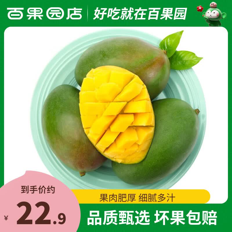 PAGODA百果园 云南凯特芒青皮大芒果热带新鲜水果当季整箱生鲜现摘速发 凯特芒4.5斤 单果300g+属于什么档次？