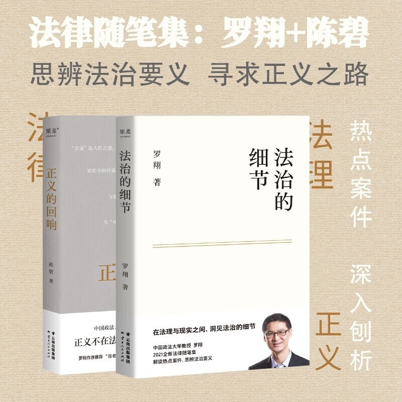 法治的细节 罗翔 书籍 圆圈正义 法治的细节 刑法学讲义 刑法罗盘 2册法治的细节-罗翔+正义的回响