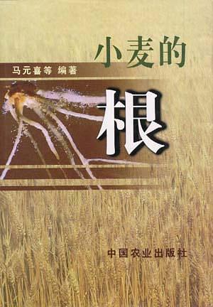 【正版现货】小麦的根