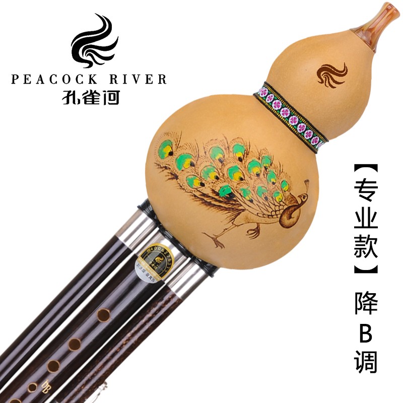 孔雀河（PEACOCK RIVER）葫芦丝儿童成人自学初学专业演奏型小学生入门云南紫竹五调齐全 降b调怎么看?
