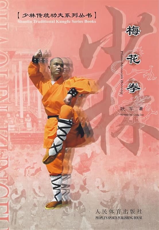 梅花拳 耿军著【正版书】