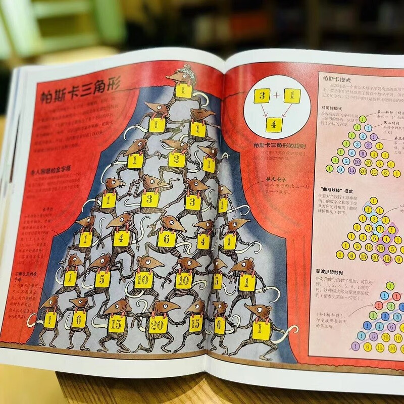 DK数学运转的秘密详情图