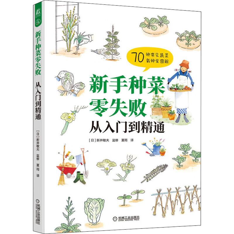新手种菜零失败 从入门到精通