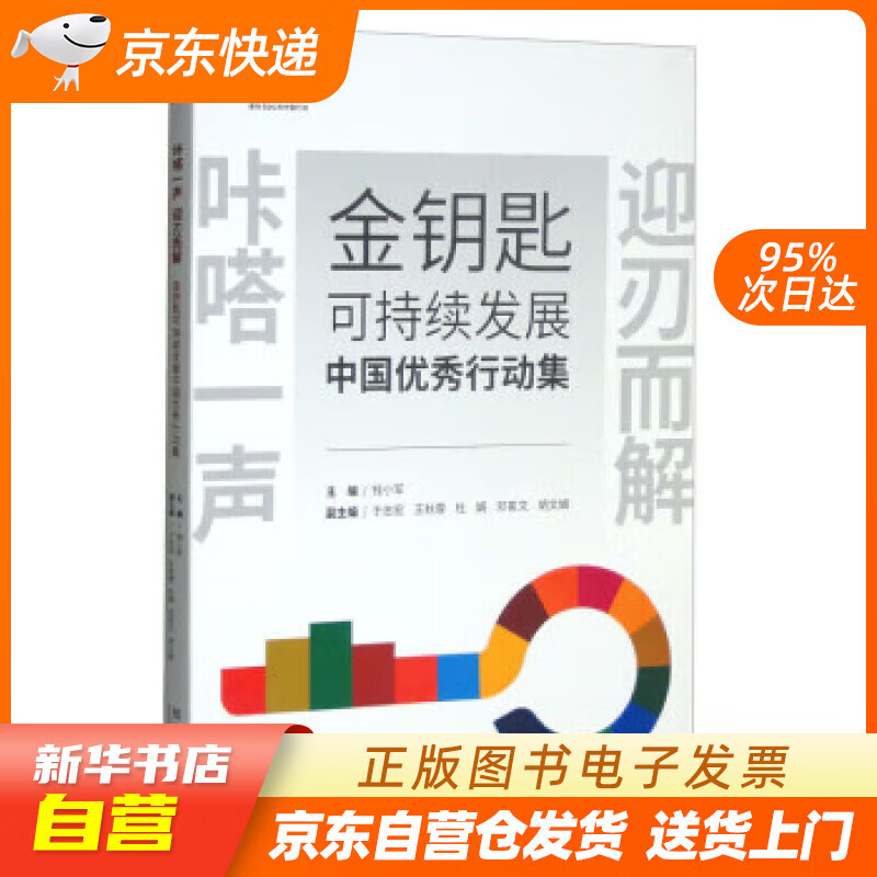 金钥匙可持续发展中国优秀行动集 钱小军,于志宏,王秋蓉,杜娟,邓茗文