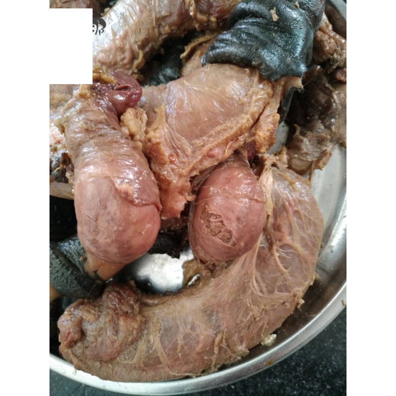 虎钢馋熟食20年老店农家驴  新鲜滋补 正宗驴鞭(不带宝)真空熟食发货