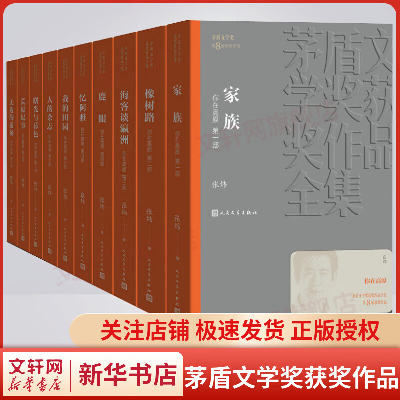 你在高原 全套10册 张炜作品 第八届茅盾文学奖获奖作品 人民文学出版社