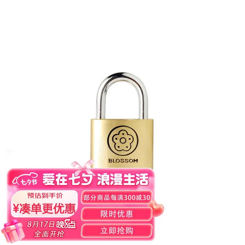 梅花 BLOSSOM 雅圆铜挂锁20MM 抽屉锁箱包锁 宿舍柜门锁BC9020使用感如何?
