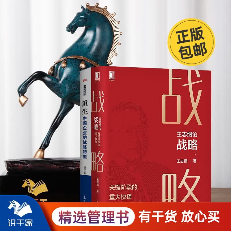 高处看战略2本套：王志纲论战略，关键阶段的重大抉择+重生，中国企业的战略转型 识干家企业管理C/企业经营管理书籍团购送人礼物/企业经营管理书籍团购送朋友礼物/商业模式书籍团购