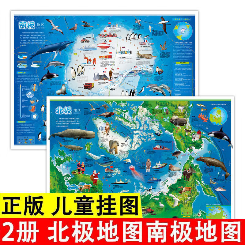 南极 北极儿童房地图 无规格