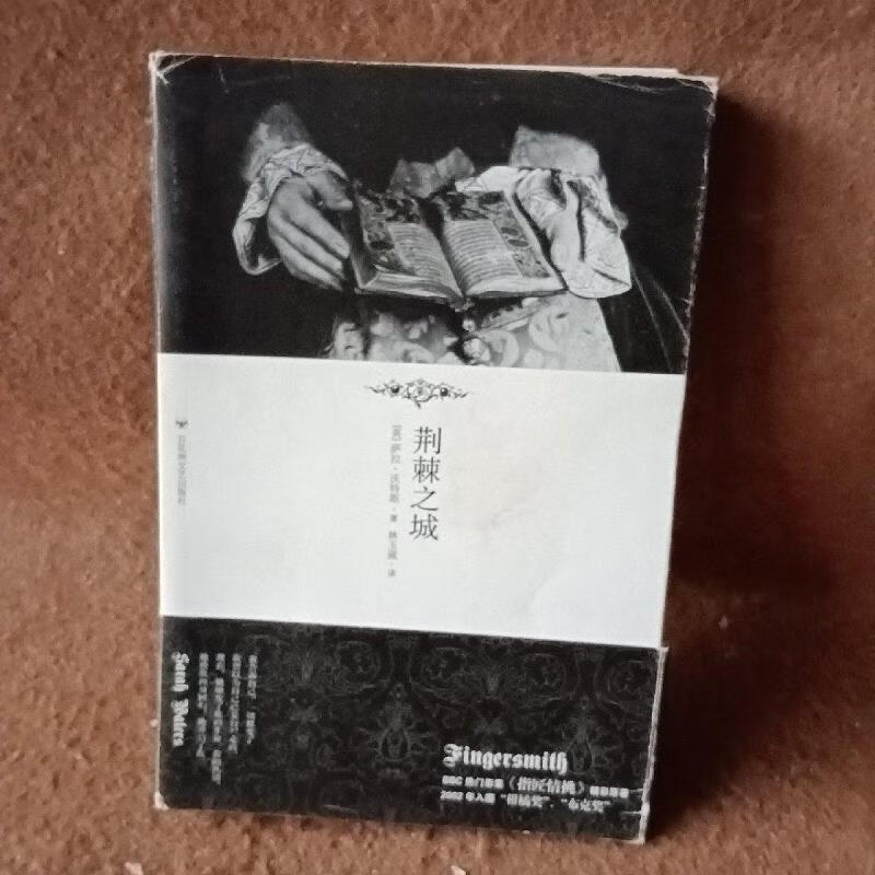 【正版】荆棘之城 百花洲文艺出版社9787807428596