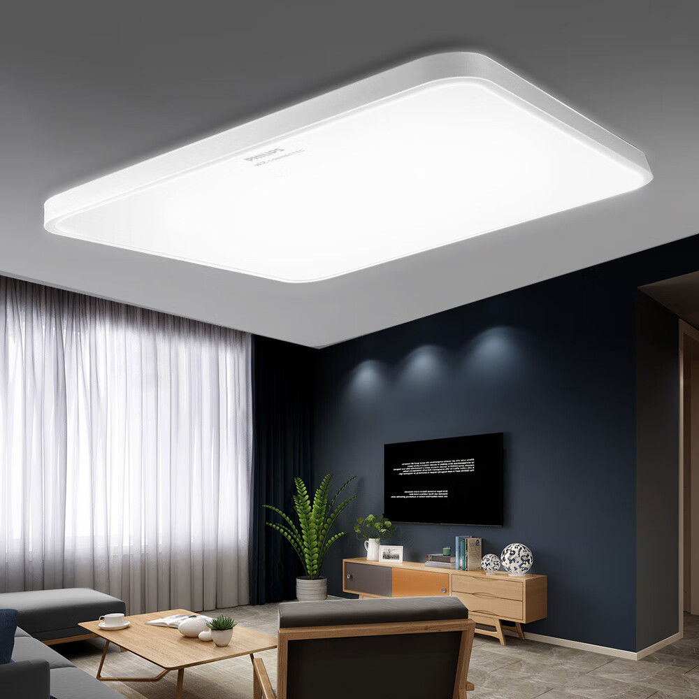 飞利浦 智能wifi版led吸顶灯悦泽北欧现代简约客厅卧室调控灯具zh