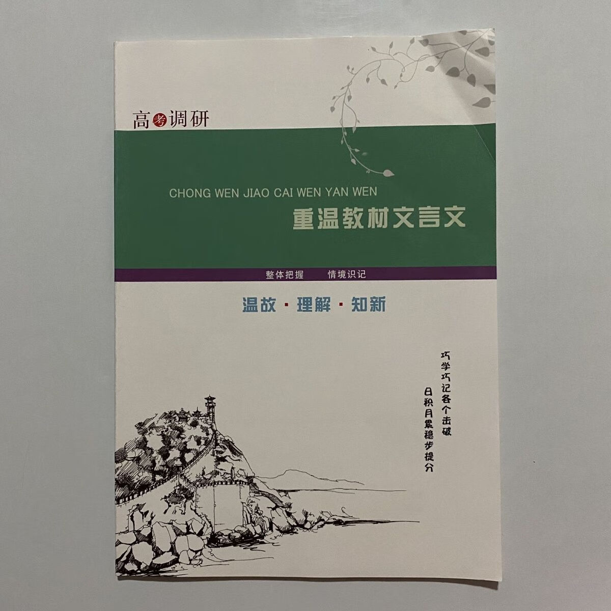 新教材 重温教材文言文 温故理解知新