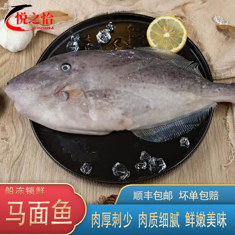 鹿凌青大号耗儿鱼剥皮鱼海鲜 橡皮鱼 马面鱼新鲜冷冻 1条装（约1.3-1.5斤/条）超大