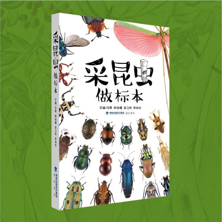 现货正版 采昆虫做标本 中国大百科全书 科普儿童课外读物汤亮图实践画册 海峡书局