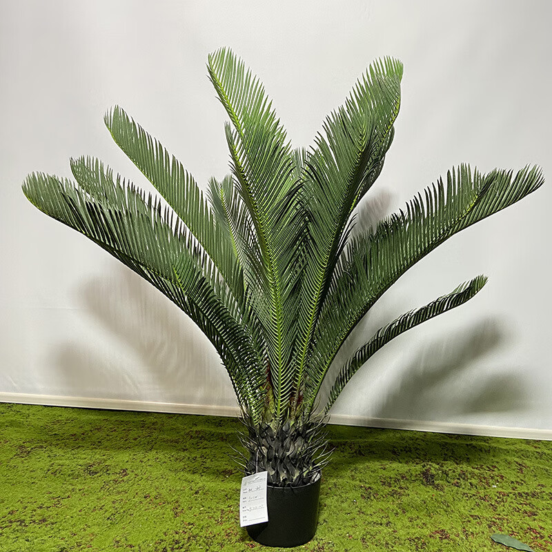 舞万花假树仿真树室内装饰供应仿真苏铁绿植 仿真铁树批发仿真绿色