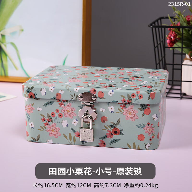 收纳盒密码锁铁子带钥匙首饰桌面化妆品手储物学生家用小箱 巧克力色