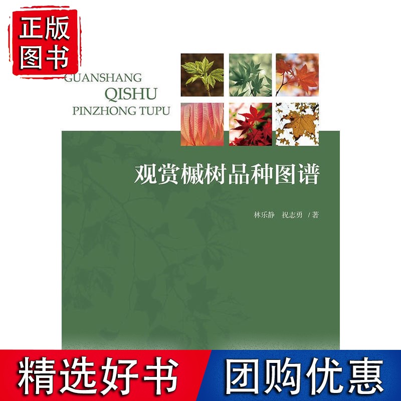 观赏槭树品种图谱