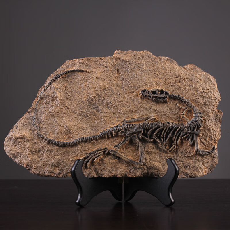 忆往昔创意侏罗纪恐龙化石摆件霸王龙书房办公室摆件