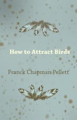 预订How to Attract Birds