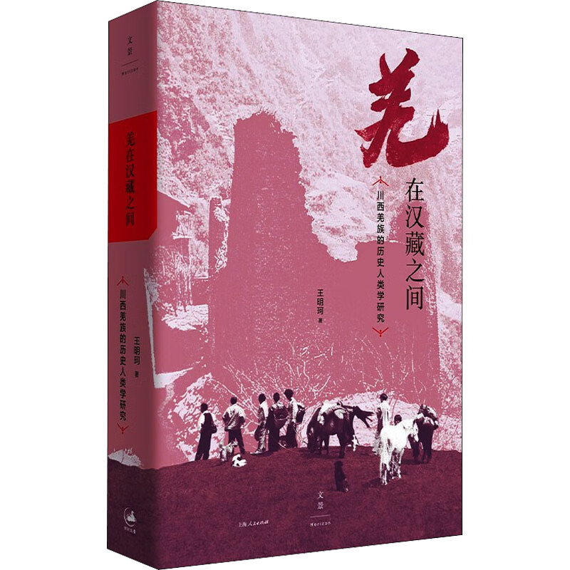 羌在汉藏之间 川西羌族的历史人类学研究