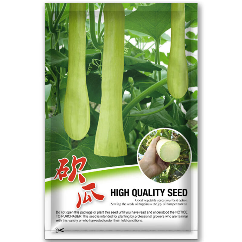 种籽种子随吃随时砍再生砍瓜种籽农家四季种植蔬菜种子 砍瓜种子10粒