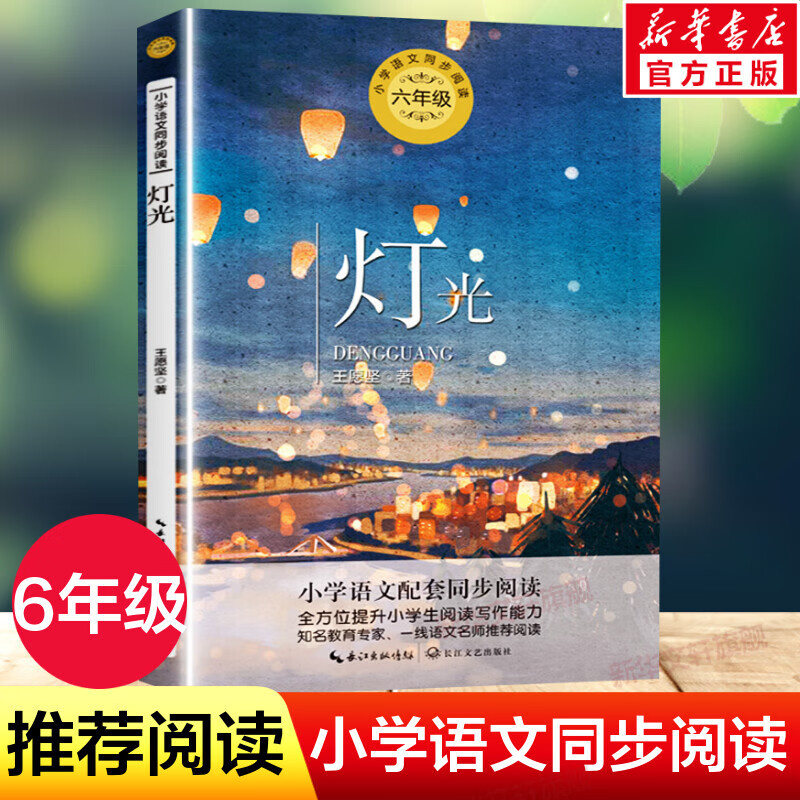 灯光 王愿坚著 6六年级上册学期小学语文同步阅读书系教材课文作家