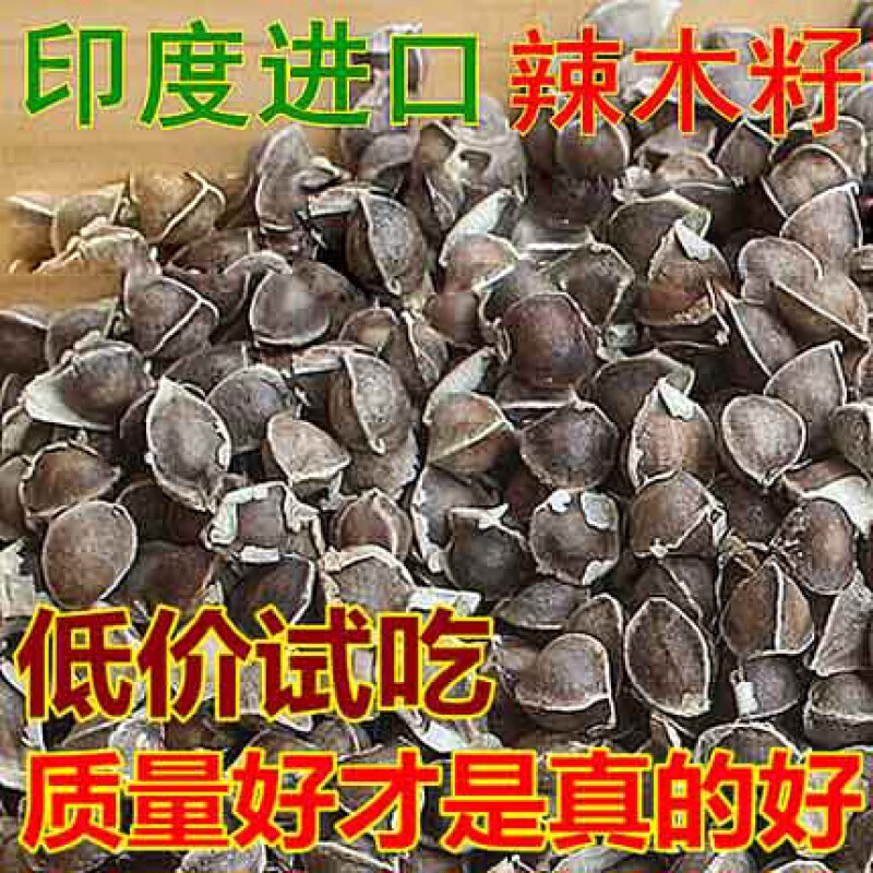 清晨露水園藝印度辣木籽野生食用辣木子種子精選辣木種子 印度100粒體驗(yàn)裝