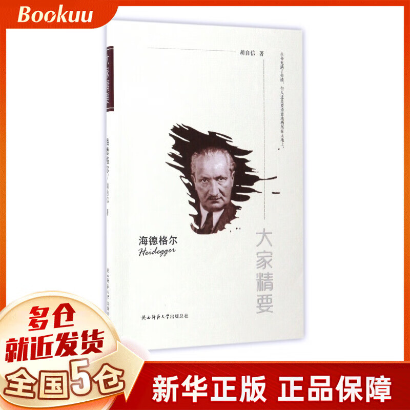 海德格尔/大家精要