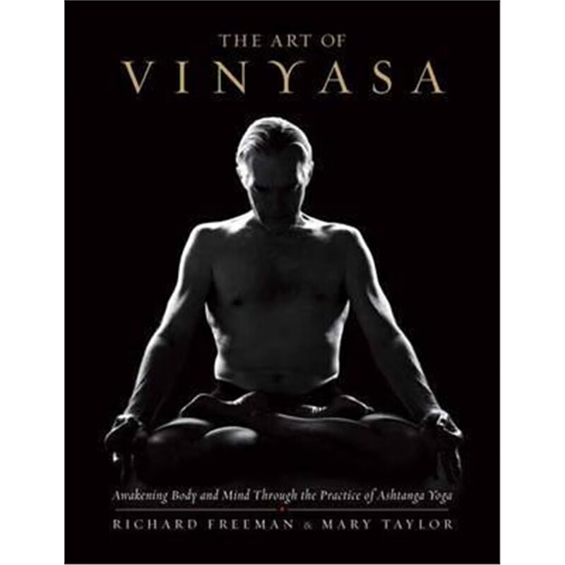 预订The Art Of Vinyasa