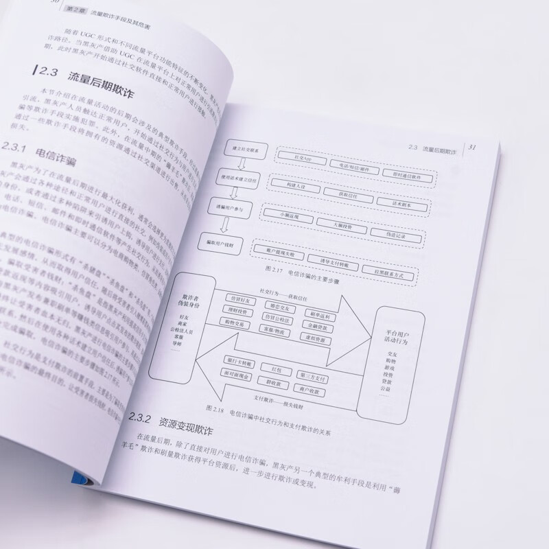 大数据安全治理与防范——流量反欺诈实战（异步图书出品）详情图