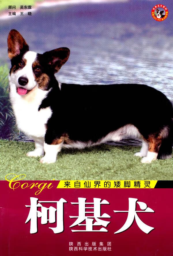 名犬-柯基犬 家居 王晓 陕西科学技术出版社 9787536946774