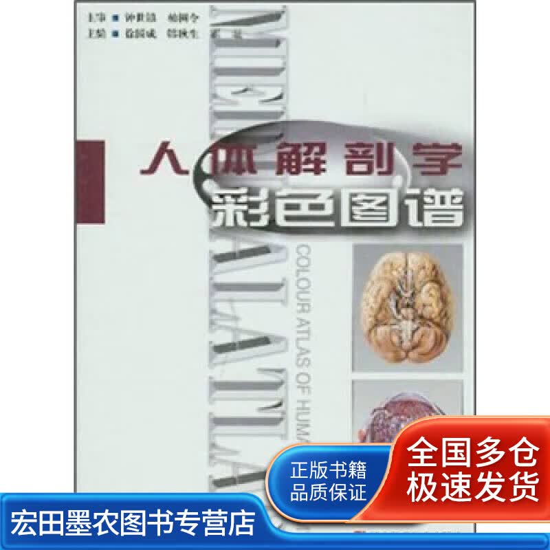 人体解剖学彩色图谱9787538140446【正版好书】