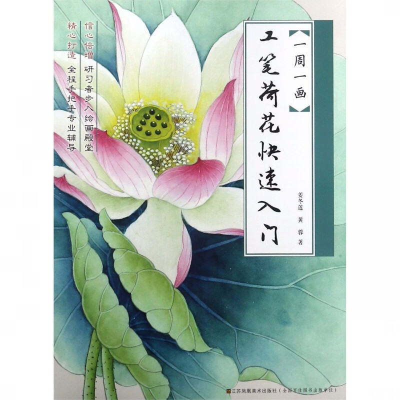 工笔荷花快速入门/一周一画