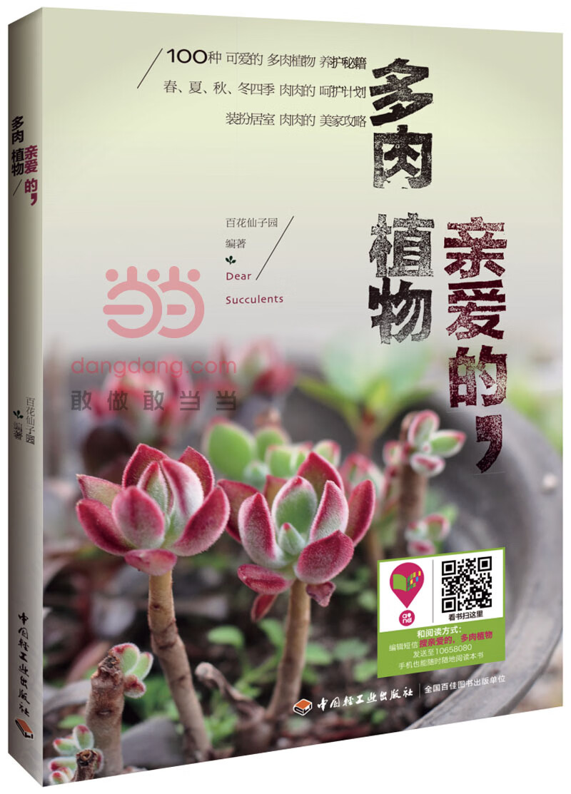 亲爱的，多肉植物