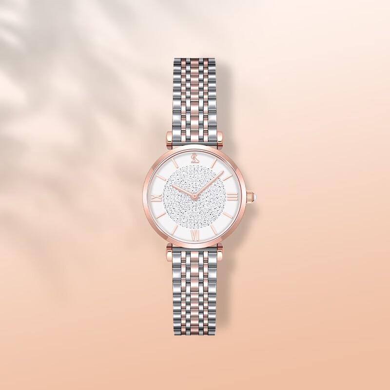 DK满天星女士手表女石英表生日新年情人节礼物送女友送老婆送妈妈 钢带满天星白盘金边 32mm