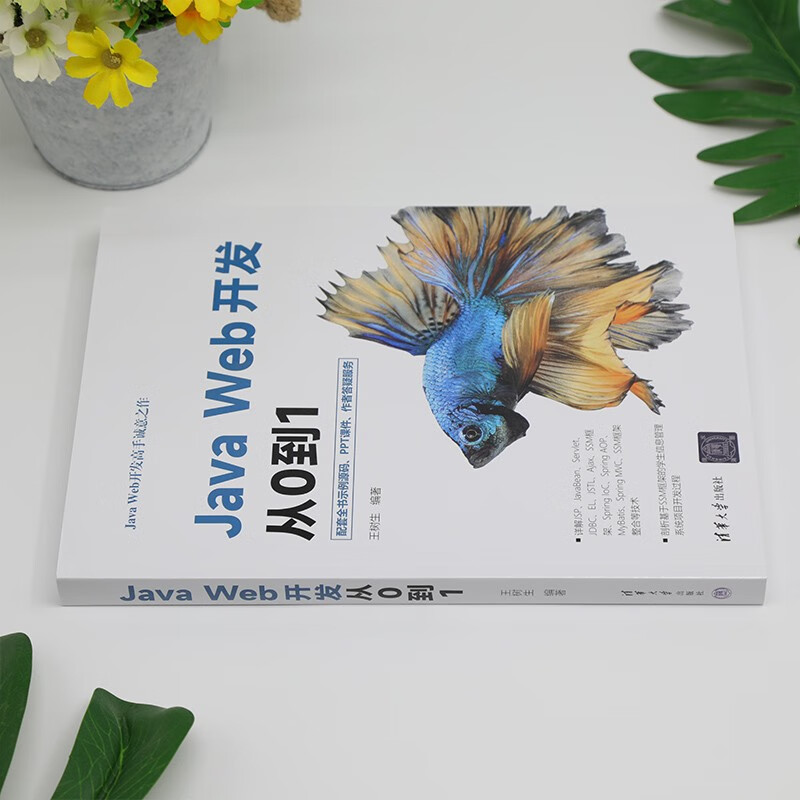 Java Web开发从0到1