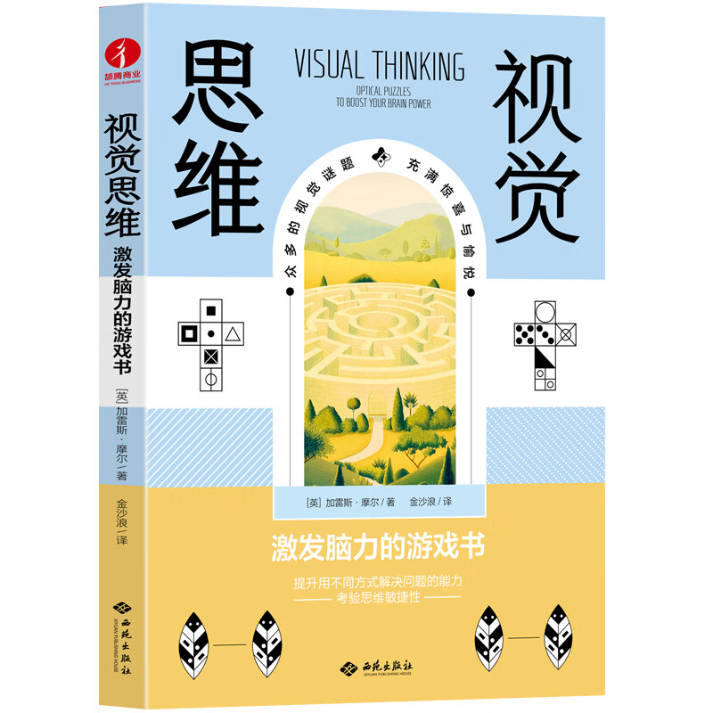 视觉思维：激发脑力的游戏书