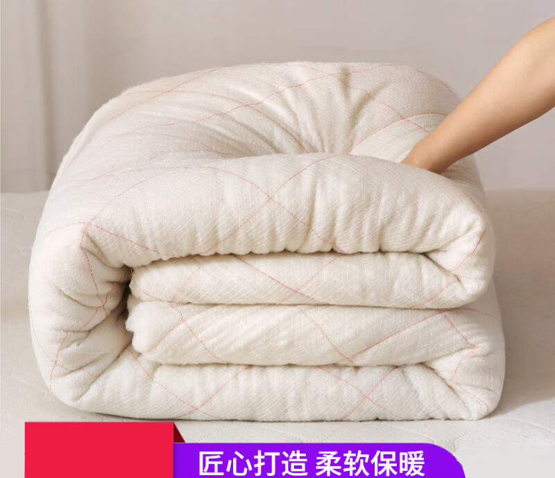 铺被棉花被子棉絮垫絮褥子加厚棉被冬被保暖垫被床垫铺床被褥 4斤促销 1.0x2.0米