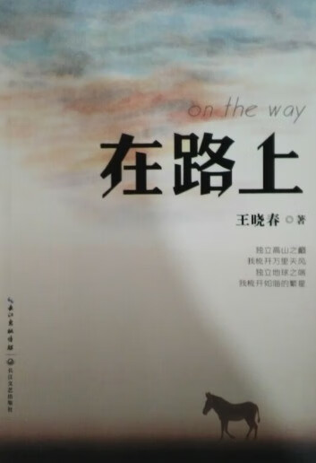 在路上 王晓春【正版书】
