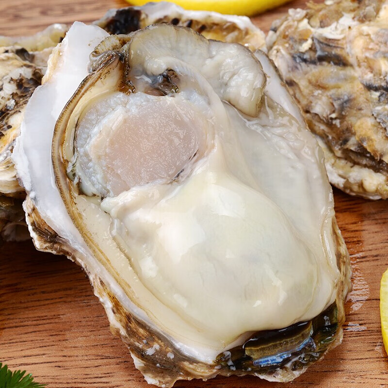 安峰山生蚝海蛎子 青岛生蚝 2000g  袋装海鲜水产 烧烤好食材