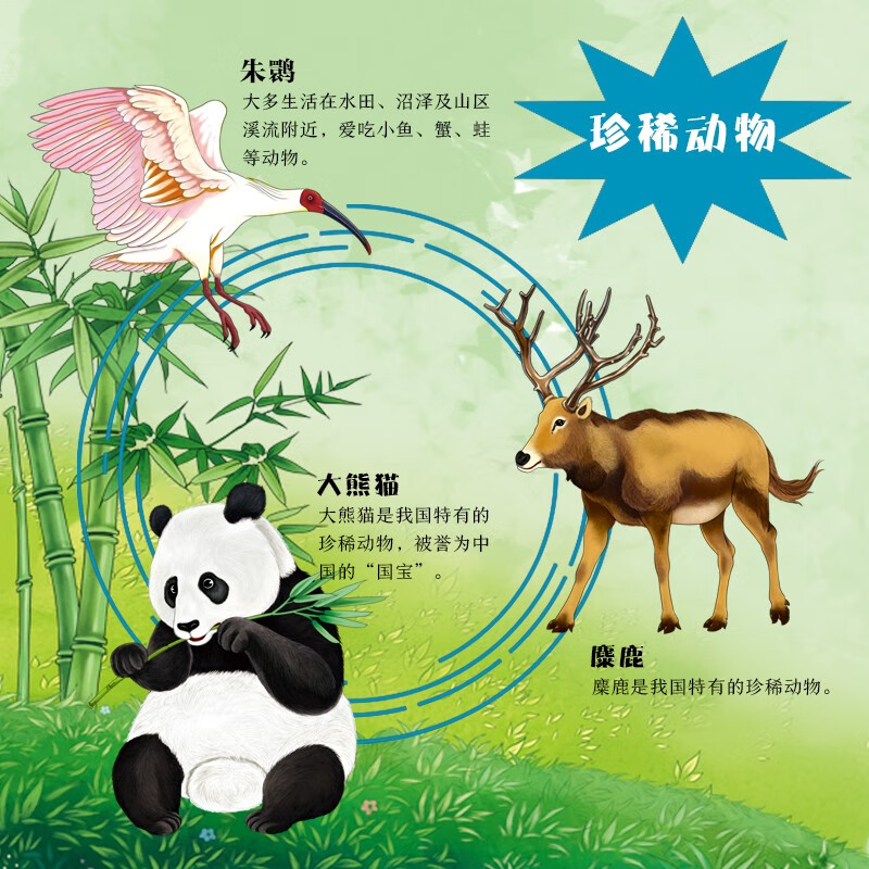 动物世界 全景图说动物百科绘本精装版--小麒麟原创童书暑假阅读暑假课外书课外暑假自主阅读暑期假期读物详情图