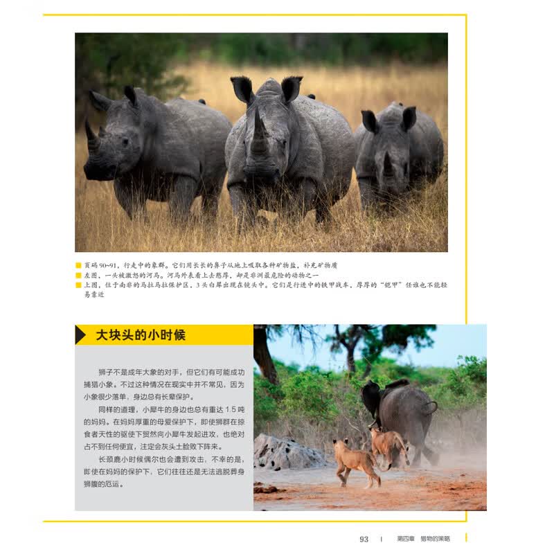 国家地理动物百科全书：非洲大草原的掠食者与猎物 国家地理少儿百科读物 [0-3岁](中国环境标志产品 绿色印刷)详情图