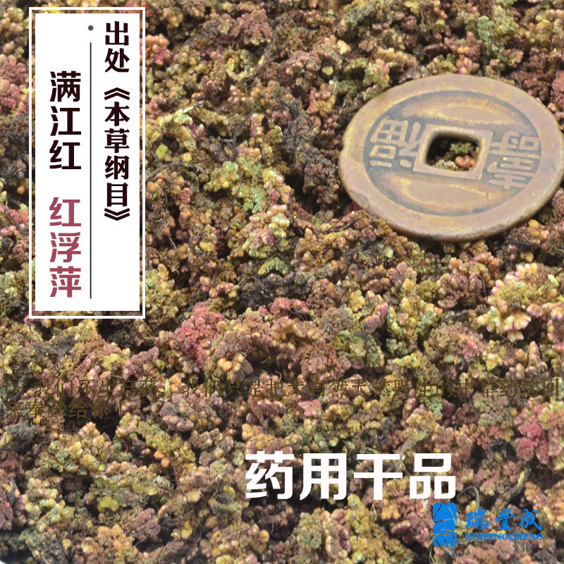 北京同仁堂原料同仁原料中药材 干品红浮萍【满江红 红浮飘】 新 克