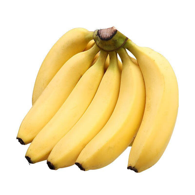 【香蕉5斤装】福建天宝香蕉5斤装 非美人蕉红蕉正宗现割新鲜香蕉当季水果 banana