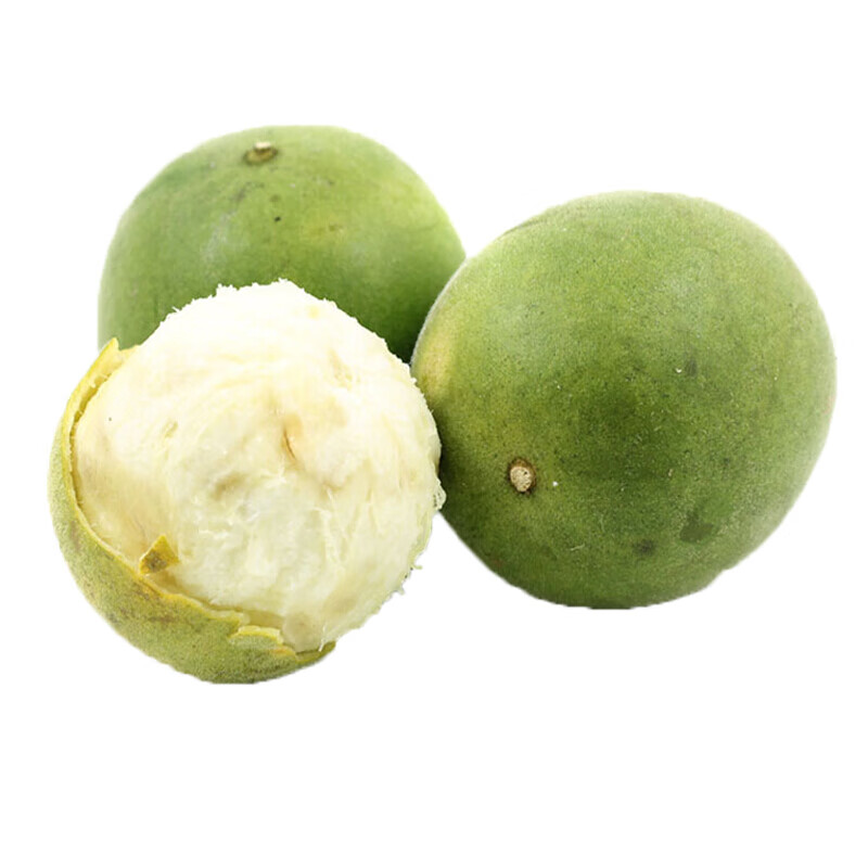 真果沁 【现货】新鲜罗汉果  广西桂林永福罗汉生果 可泡茶 新果 500g