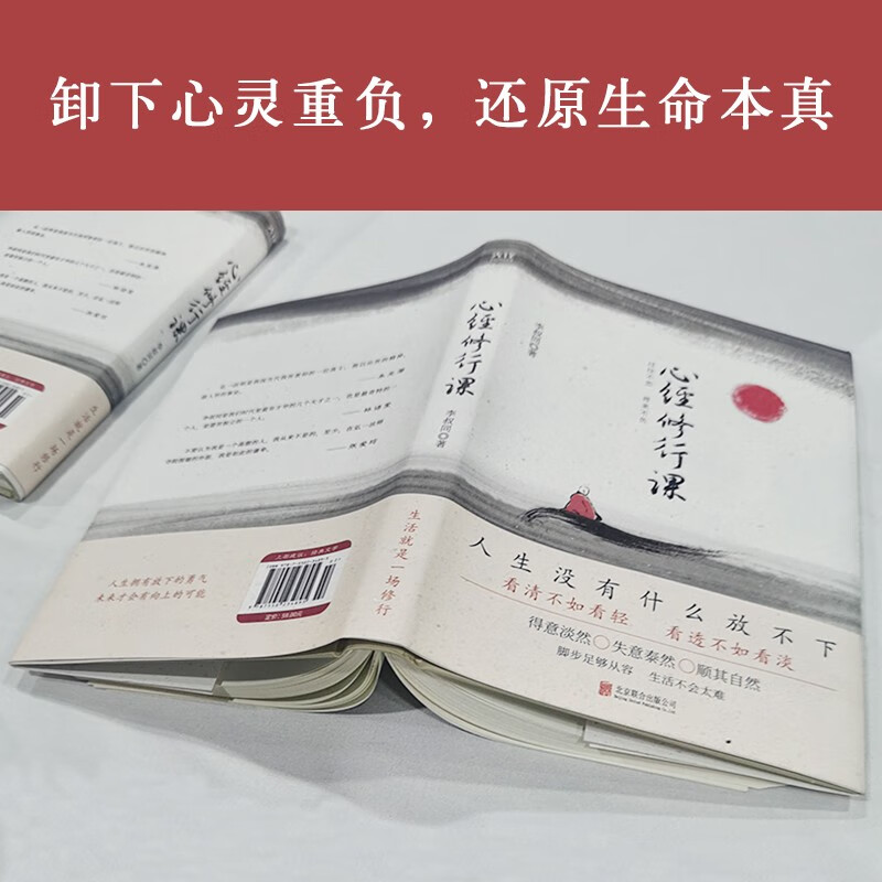 心经修行课：过往不恋 将来不负（2023精装）前半生艺术宗师，后半生弘一法师，李叔同献每个人一盏心灯详情图