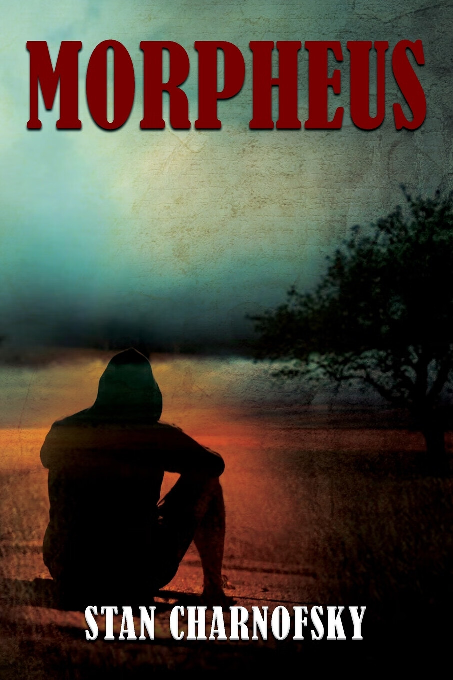【预售 按需印刷】morpheus