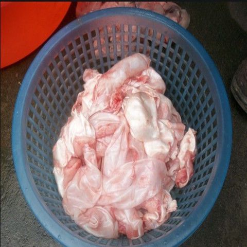 鱼泡鱼白鱼籽1-4斤鲤鱼泡白鲢泡草鱼泡杂鱼泡现杀现取 鱼泡1斤装