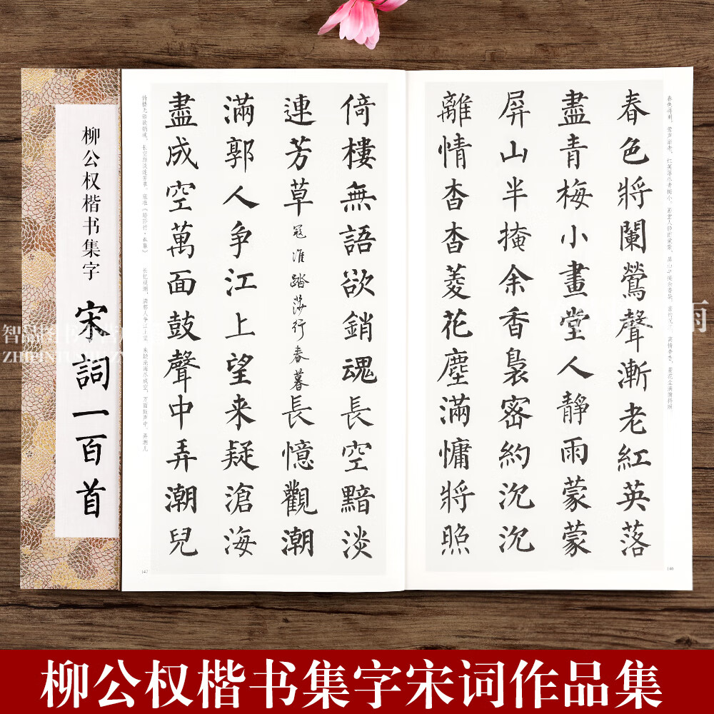 学生初学者入门学习临摹教材作品集 楷书毛笔书法字帖